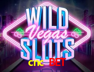 Sistemas de Segurança cnc bet