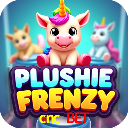 Experiência VIP cnc bet